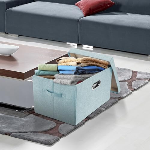 Large Storage Bins with Lids (3-Pack Large / Auqa Spring)