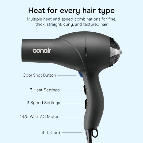 Hair Dryer with Diffuser (Black / 1 Count (Pack of 1))