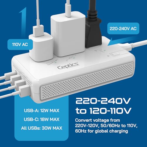 Voltage Converter (White)