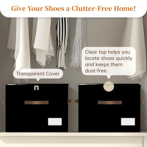 Shoe Organizer for Closet (2Pack Black)