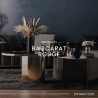 Baccara Diffuser Oil Scents for Home (8.5 Fl Oz (Pack of 1))