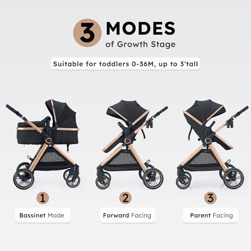2-in-1 Convertible Baby Stroller for Newborn to Toddler (Gold)