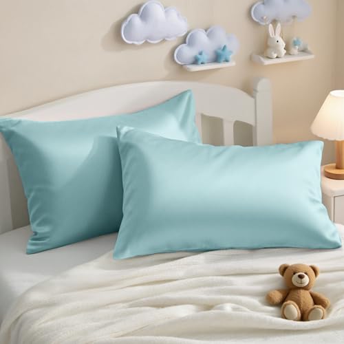 Toddler Pillows with Pillowcases Set (Aqua (Cotton) / 13x18 Inch (Pack of 2))