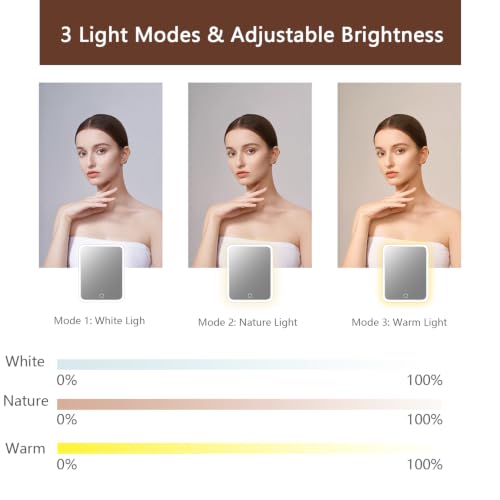 Makeup Bag with Led Mirror (Brown / with LED mirror)