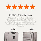 Sion Softside Expandable Luggage (Checked-Large 29-Inch / Pewter)
