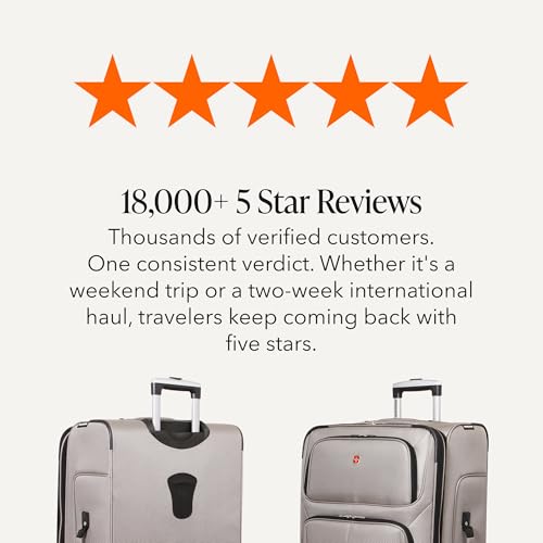 Sion Softside Expandable Luggage (Checked-Large 29-Inch / Pewter)