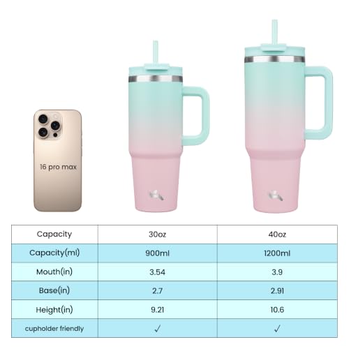 30 oz Insulated Tumbler Water Bottle with Handle (30 Ounces / Gum)