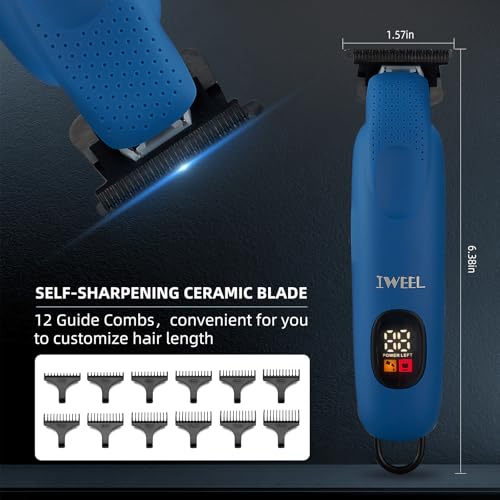 Professional Beard Trimmer for Men (Blue)