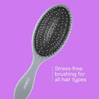 Detangling Hair Brush Set (Blue,Pink,Grey / 3 Count Full Size)