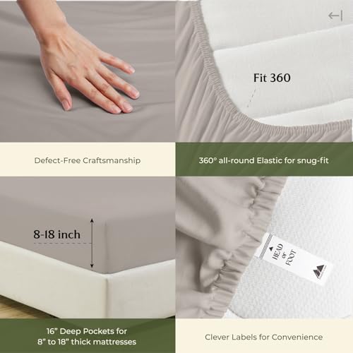 100% Egyptian Cotton Twin XL Size Sheets Set (Twin XL / 11 - Taupe)