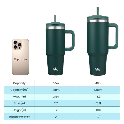 30 oz Insulated Tumbler Water Bottle with Handle (30 Ounces / Dark Green)