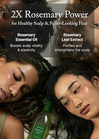 Rosemary Scalp Scaling Shampoo for Hair Growth (01. Rosemary 1 Pack)