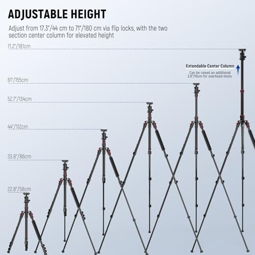 Basics Camera Tripod Monopod (TP15 w/Ball Head)
