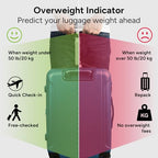 Digital Luggage Scale (White Stainless steel)