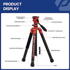 62" Video Camera Tripod with Fluid Head for Smooth Panning (X-Aircross 3 Video Orange)