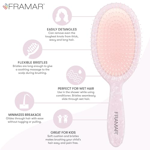Iridescent Wet Hair Brush Detangler (Iridescent)