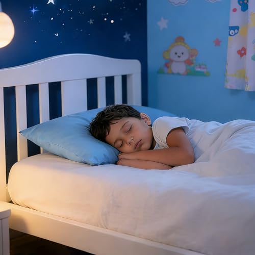 Toddler Pillows with Pillowcases Set (Sky Blue (Microfiber) / 13x18 Inch (Pack of 2))