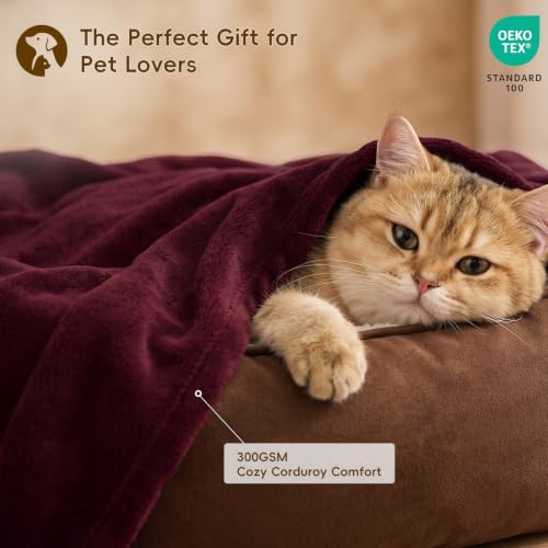 Fleece Throw Blanket 50"x60" (Wine Red / Throw(50" X 60"))