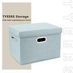 Collapsible Storage Bins With Lids (2-Pack Large / Auqa Spring)