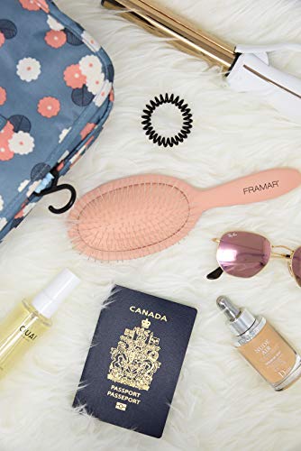 Detangling Brush for Curly Hair (Champagne)