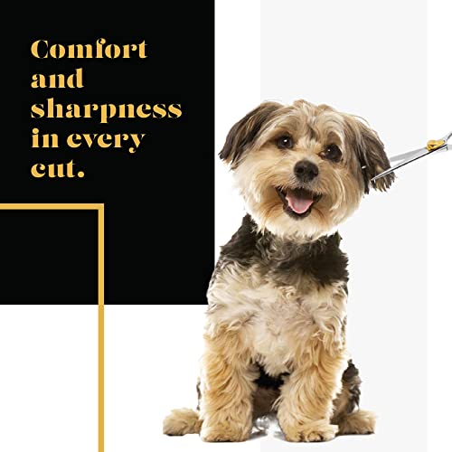 Gold Touch Pet Grooming Shear (Straight Scissors - Blunt Tip / 6.5 Inches)