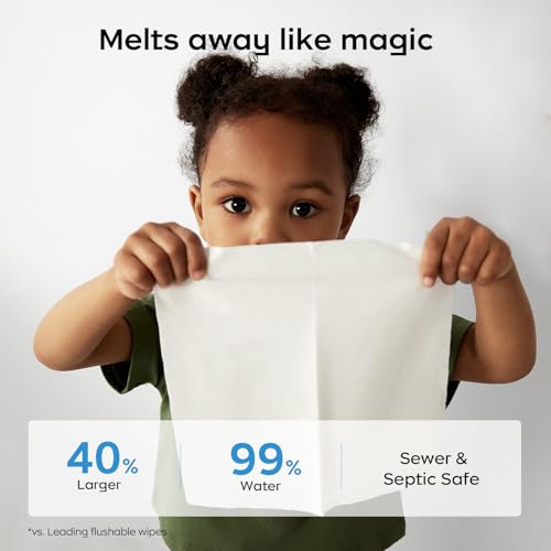 Cloud Max Flushable Wipes (42 Count (Pack of 3))