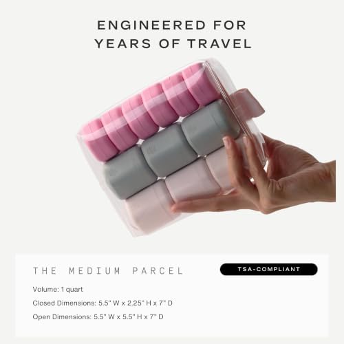 Parcel Clear Travel Kit with Zipperless Magnetic Closure (Rose / Medium)