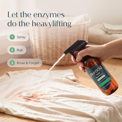 Stain Remover (4 Fl Oz (Pack of 2))