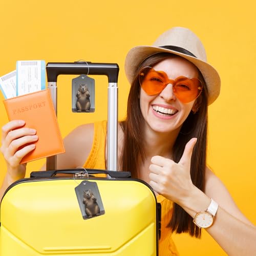 2 Pack Luggage Tags for suitcases Capybara Hamster TSA Approved Label Luggage Tag Baggage Tag Leather Stainless Steel Loop Label Tag for Men Women Travel Bag Suitcase (Capybara Hamster)