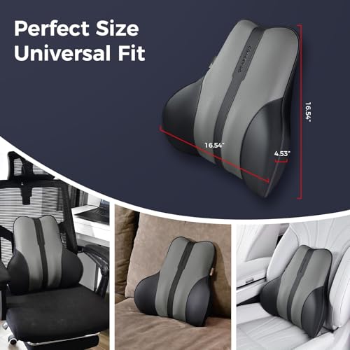 Lumbar Support Pillow for Car (Blackgray)