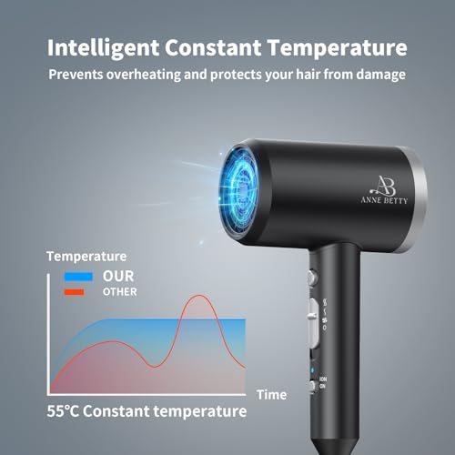 Ionic Hair Dryer with Diffuser (Sliver/Matte Black)