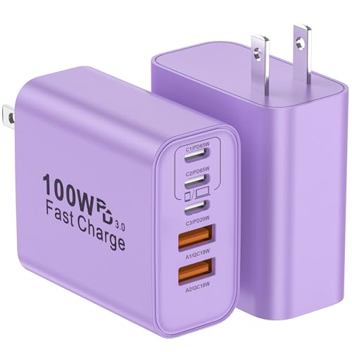 USB C Charger Block (2packs 100W / Purple)