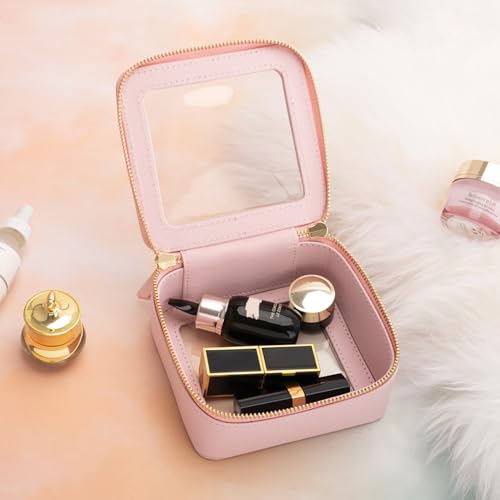 Small Clear Makeup Bag (Pink / Mini Trend)