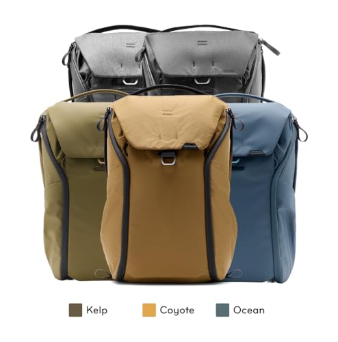 Everyday Backpack 30L (30L / Ocean)