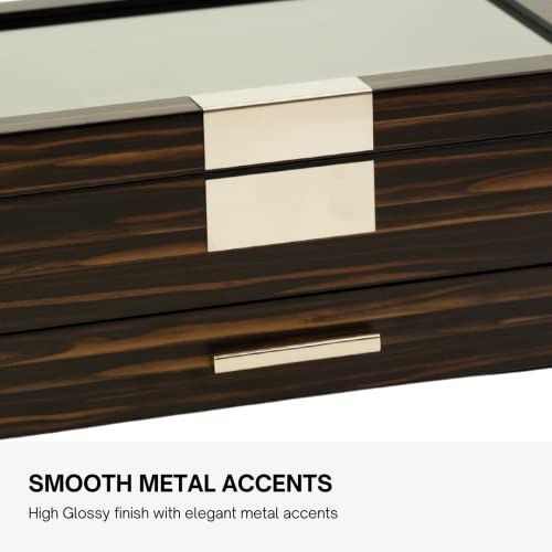 Luxury Watch Sunglasses and Jeweler Display Case and Organizer