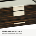Luxury Watch Sunglasses and Jeweler Display Case and Organizer