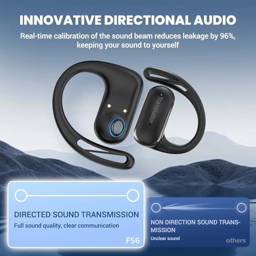 Translation Earbuds Real (Without Offline Package (Black))