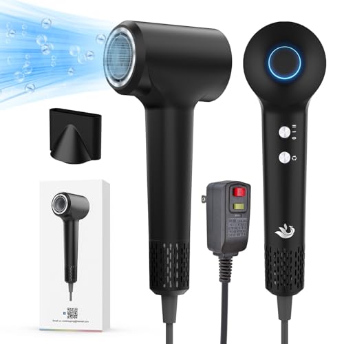 110000 RPM Brushless High Speed Plasma Hair Dryer for Home Travel