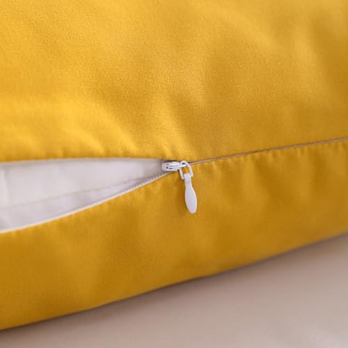 Toddler Pillows with Pillowcases Set (Ginger Yellow (Microfiber) / 13x18 Inch (Pack of 2))