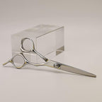 AOLANDUO Hair Scissors Professional Left Handed, VG10 Steel Left Handed Barber Shears, Razor Edge, Offset Ergonomic, Precision Hair Cutting Scissors for Salon & Home, 1 Count, 5.5 Inch