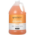 Club & Fitness Shampoo (128 Fl Oz (Pack of 1))