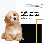 Gold Touch Pet Grooming Shear (Straight Scissors - Blunt Tip / 6.5 Inches)
