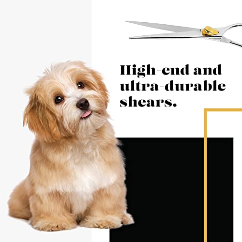 Gold Touch Pet Grooming Shear (Straight Scissors - Blunt Tip / 6.5 Inches)
