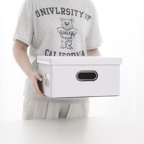 Collapsible Storage Box with Lid [3 (White / Small(3-Pack))