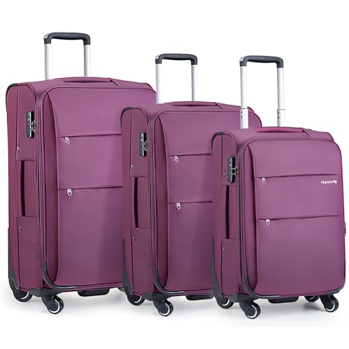 20/24/28 Inch 3 Piece Luggage Set with Spinner Wheels Expandable Luggage Large Suitcases with Wheels Softside Checked Luggage Rolling Suitcase with Lock Lightweight Travel Luggage.(Purple) (Purple / 3-Piece Set (20-Inch, 24-Inch, 28-Inch))