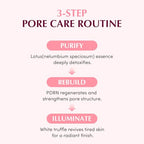 Collagen Pore