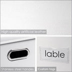 Collapsible Storage Box with Lid [3 (White / Small(3-Pack))