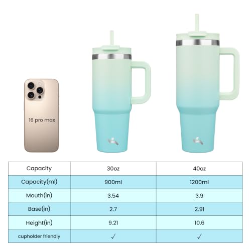 30 oz Insulated Tumbler Water Bottle with Handle (30 Ounces / Mint)