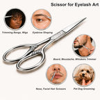 Small Precision Scissors (Stainless Steel Color)