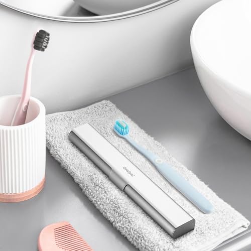 Aluminum Toothbrush Travel Case with 2 Soft Bristle Toothbrushes (Fresh & Clean Toothbrush / 1 Pack (Standard))